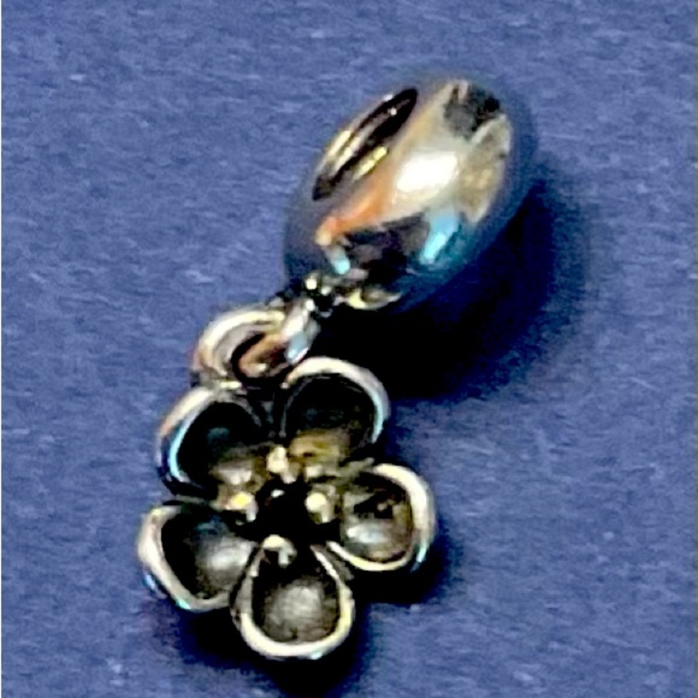 Pandora charm